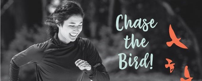 Chase The Bird Challenge