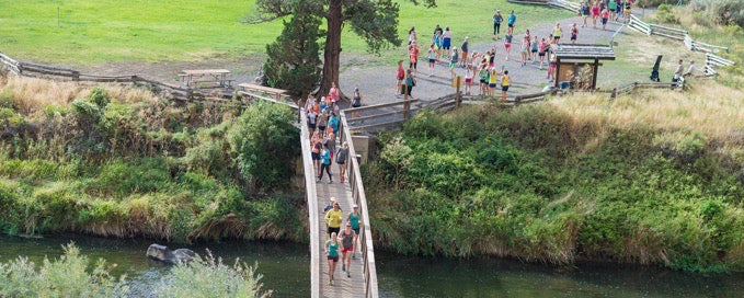 Is Big Birdcamp for You?
